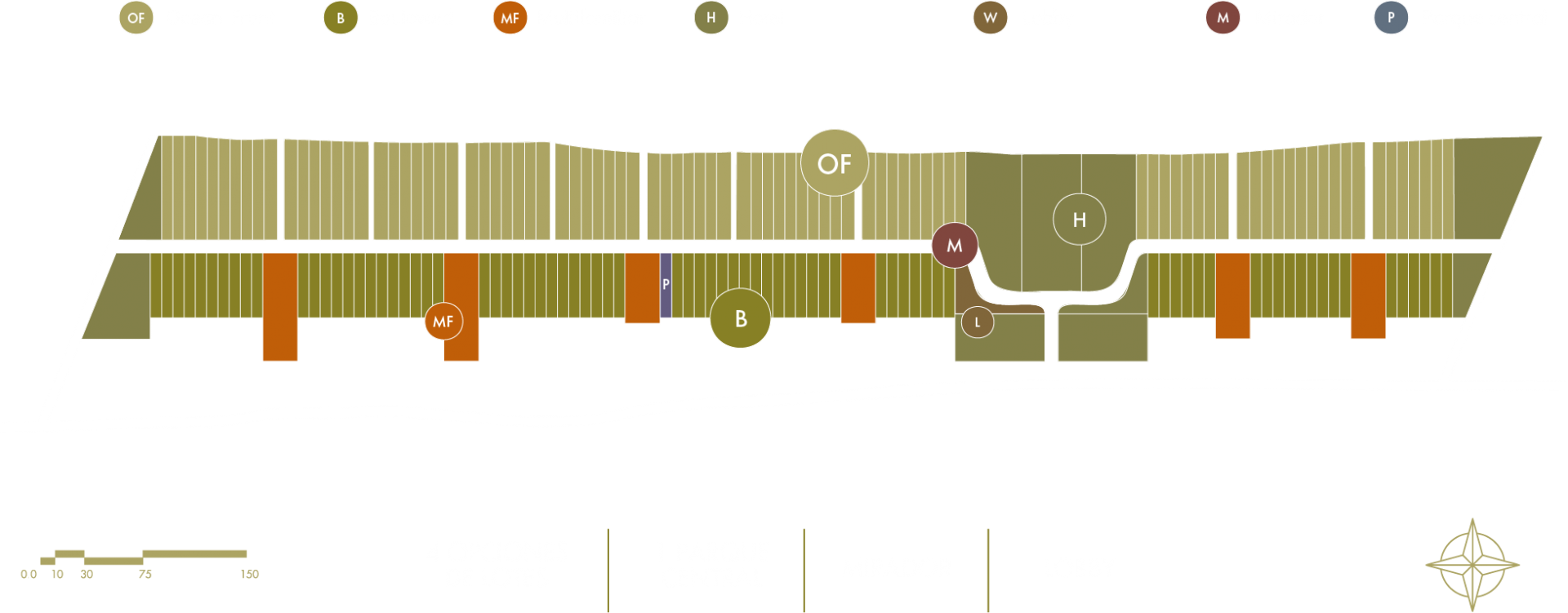 Plan maestro